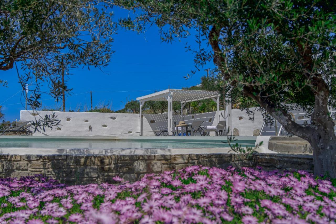 Anthemion Paros - Villas & Suites Agia Irini  Luaran gambar